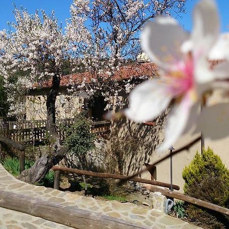 Valdolázaro Vendégház Los Navalucillos Kültér fotó